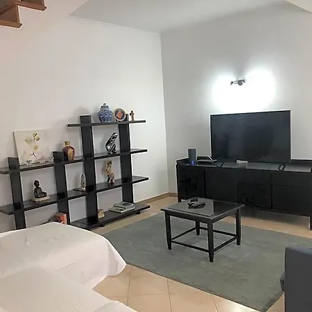 Hotel Spacious, Garden, And Private Parking Ponta Delgada